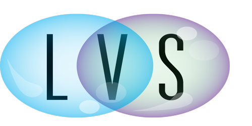 LVS srl Logo